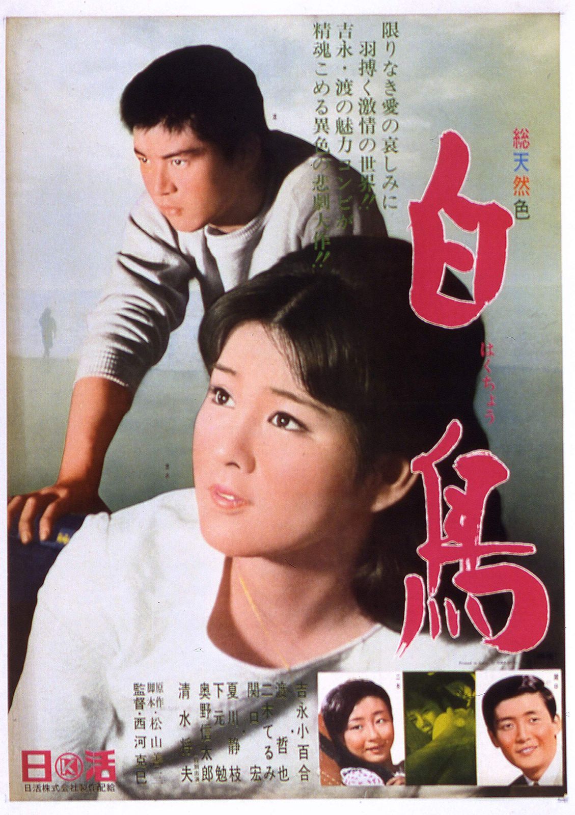 Amazon.co.jp: 渡哲也 俳優生活55周年記念「日活・渡哲也DVD