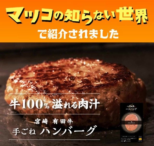 宮崎有田牛(EMO牛)手ごね生ハンバーグ 150g&times;10個セット） 送料無料(北海道・沖縄は除く） 牛 国産 和牛 ギフト 冷凍 セット