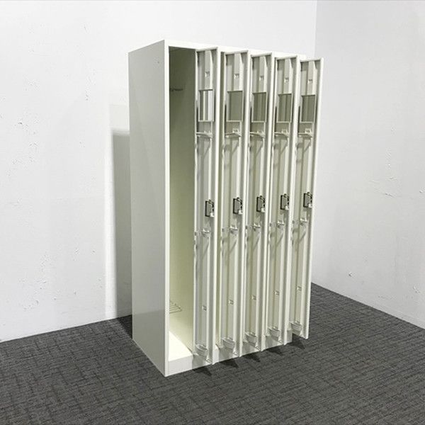 FZ型
