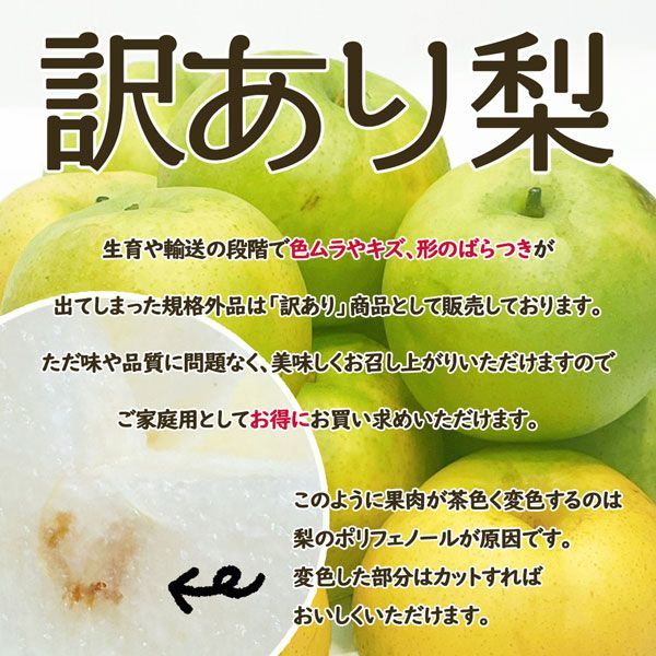 9月中旬以降の出荷予定