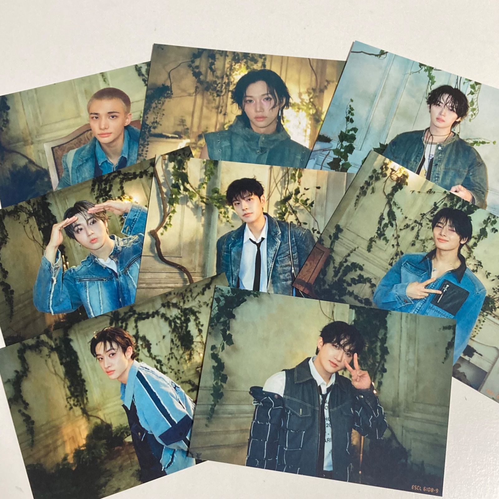 stray kids トレカ Hollow 期間生産限定盤 封入 8種コンプ ① stray kids Hollow 期間生産限定盤 ブロマイドカード 8種コンプ