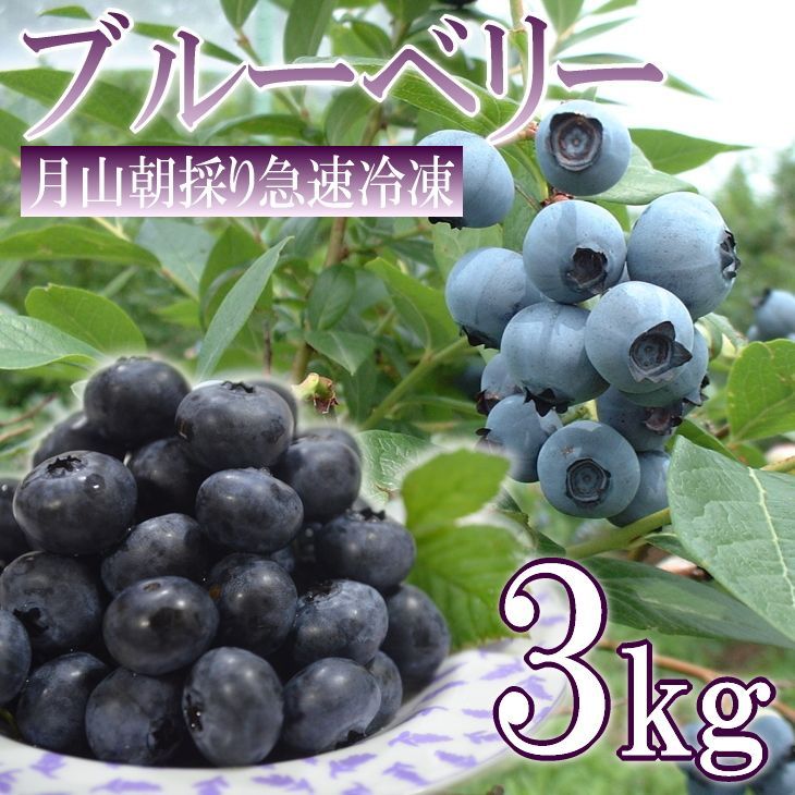 ブルーベリー 3kg 山形産 冷凍 産地直送 天然サプリ 美容 健康 アントシアニン ヨーグルト アイス ジャム