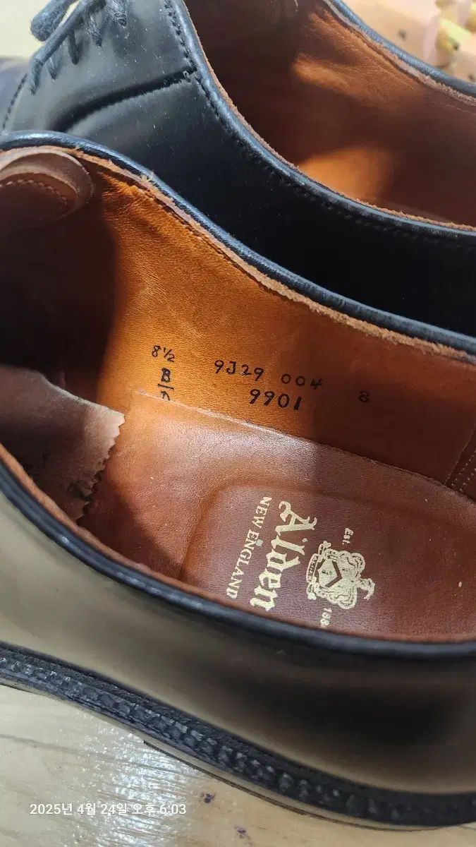 ALDEN オールデン 9901 8 5D