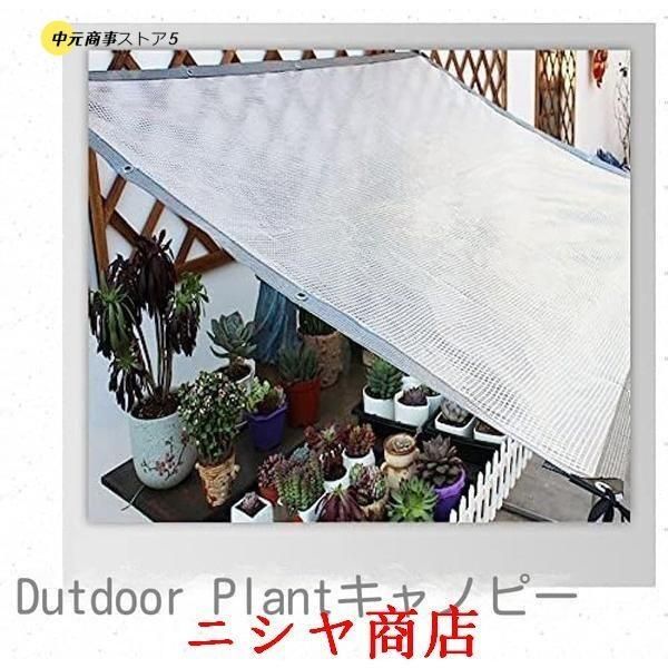 0.3mm PE