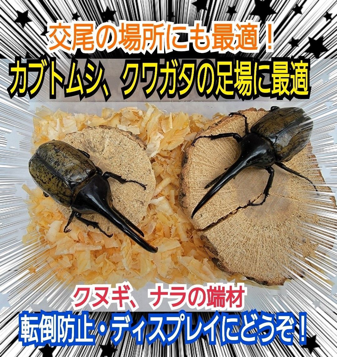 交尾の場に最適！クヌギ・ナラの端材ミックス【5～6個】クワガタ、カブトムシ