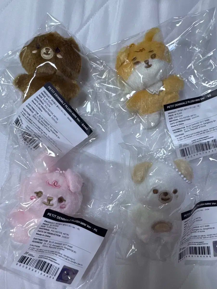 DAY6(デイシックス) プティ・メルツ PLUSH ぬいぐるみ ミニ お金