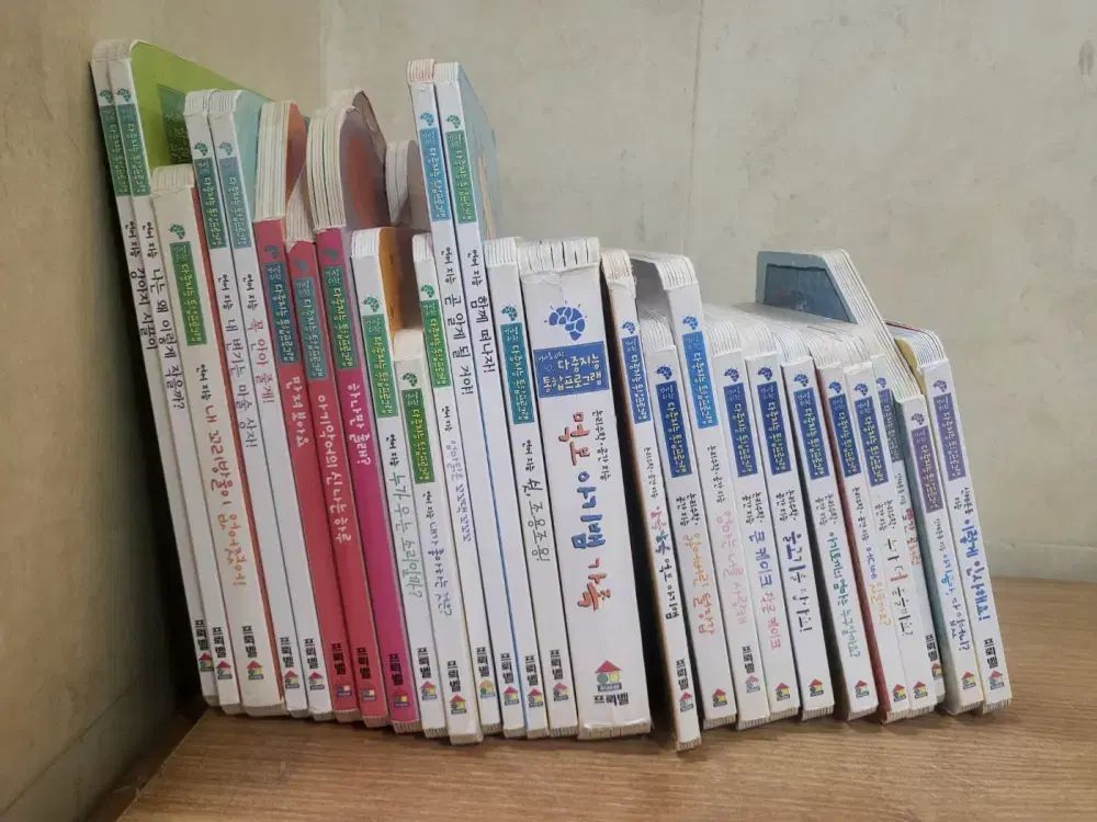 幼児 ための 複数の能力 統合プログラム