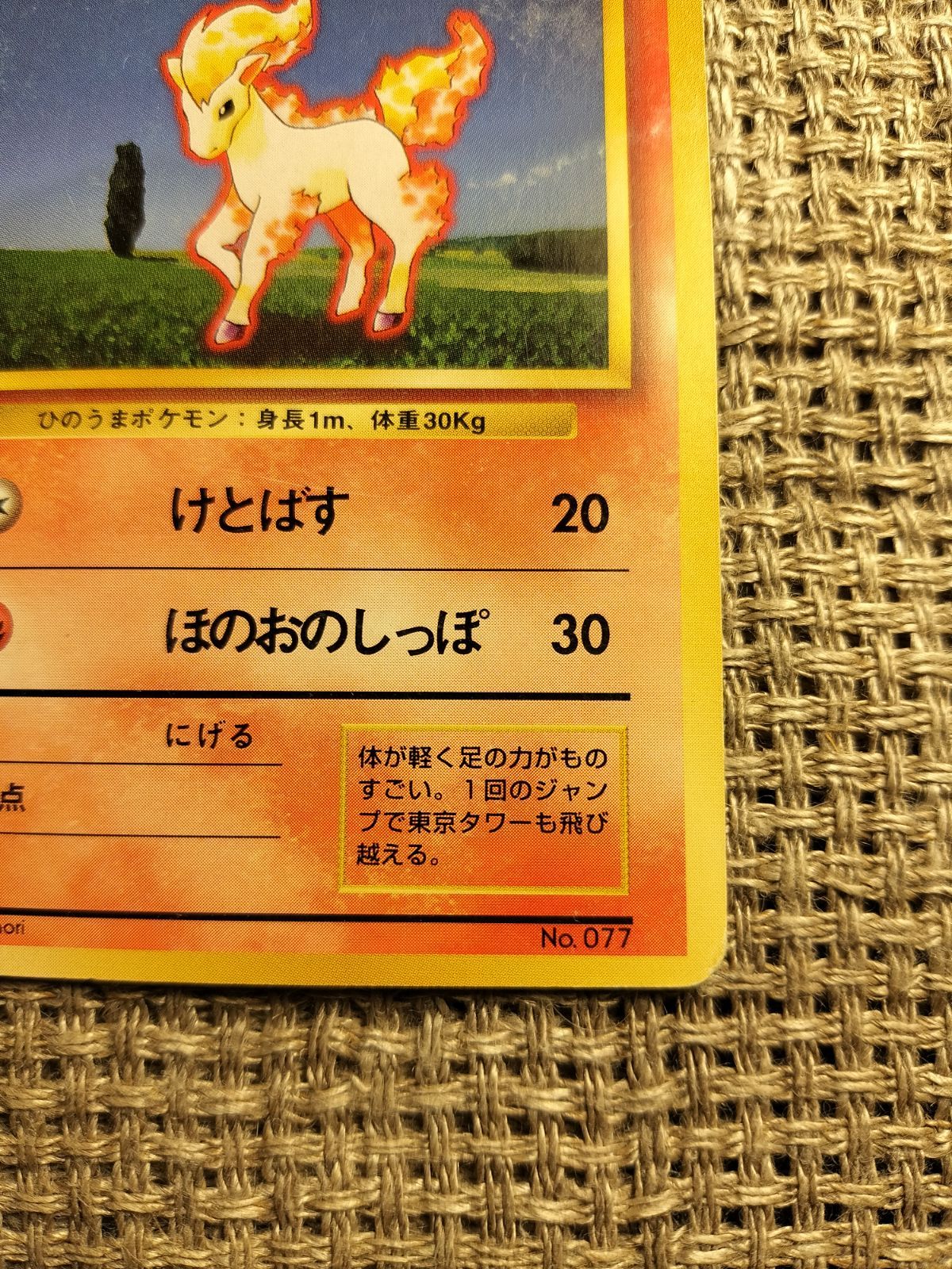 ポニータ　旧裏　初版 初期ポニータ 旧裏の通販 じゅん（2025168878） | magi