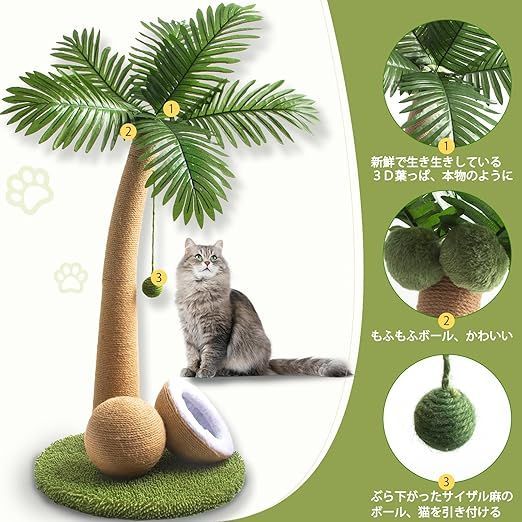 猫 爪研ぎ