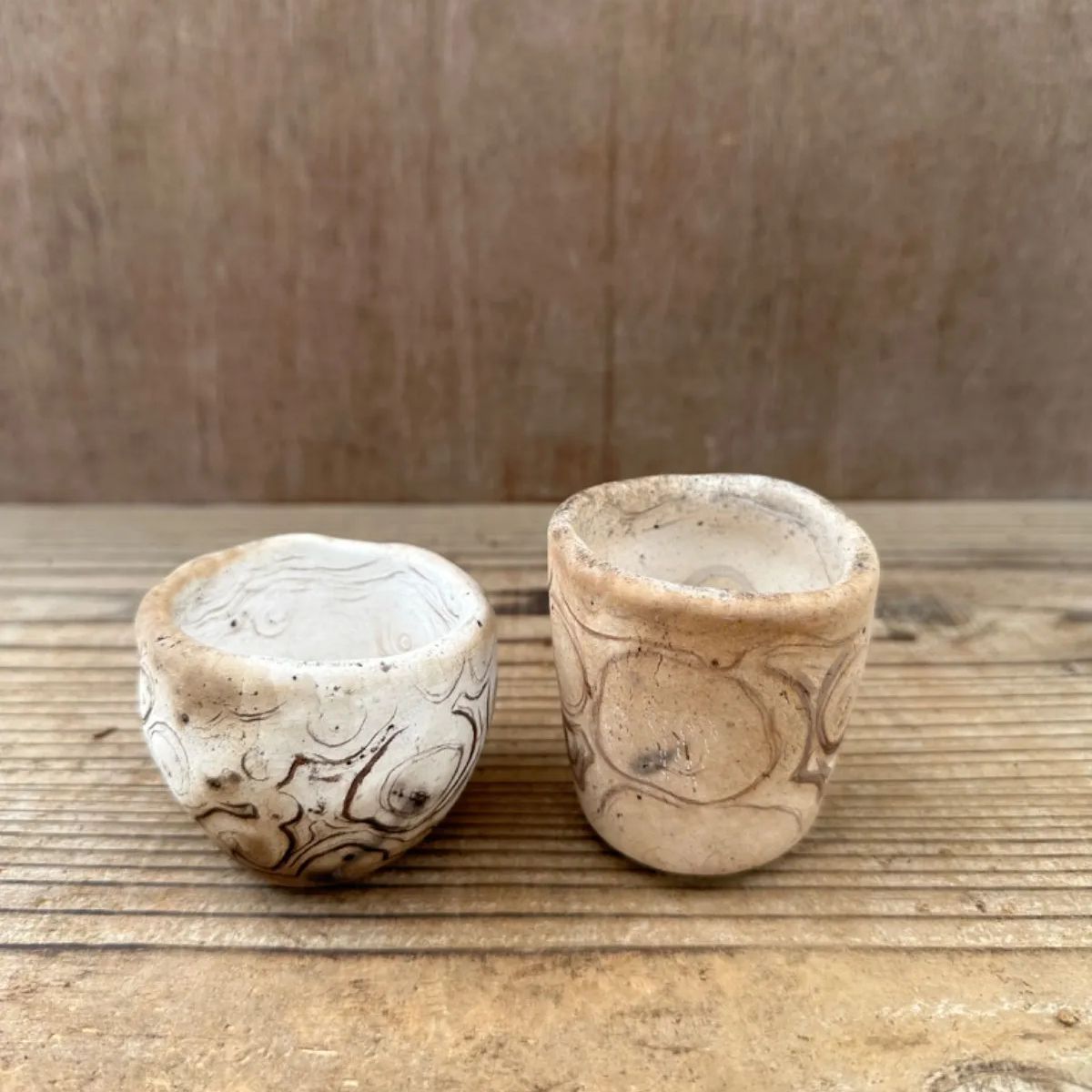 plants monsters pot（モンスタープランツポット）