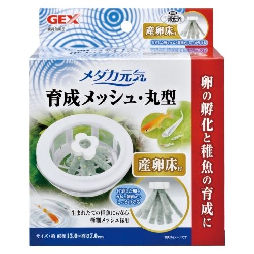 同梱不可 24個セット ジェックスメダカ元気育成メッシュ丸型産卵床付白1ｾｯﾄ