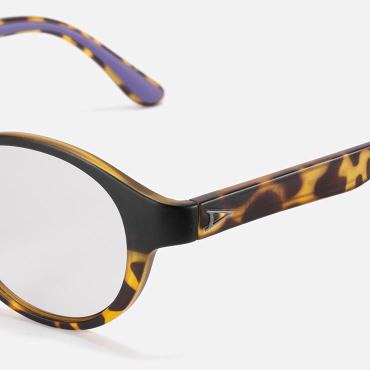 パブロ Tortoise2|Photochromic