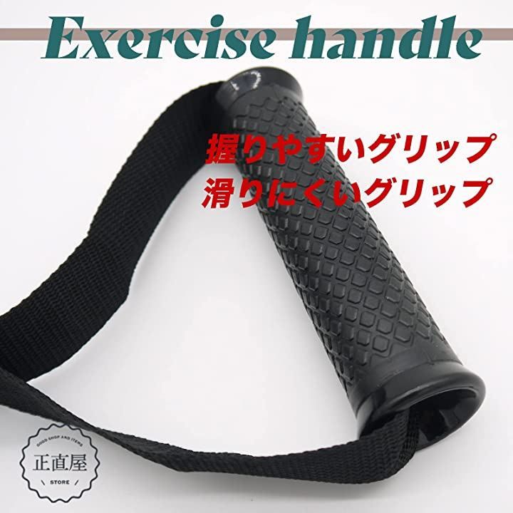 ジャパンギャルズ　セルブロックマシーン　ダイエット　トレーニング　エクササイズ TZ-6 Series - TZFIT