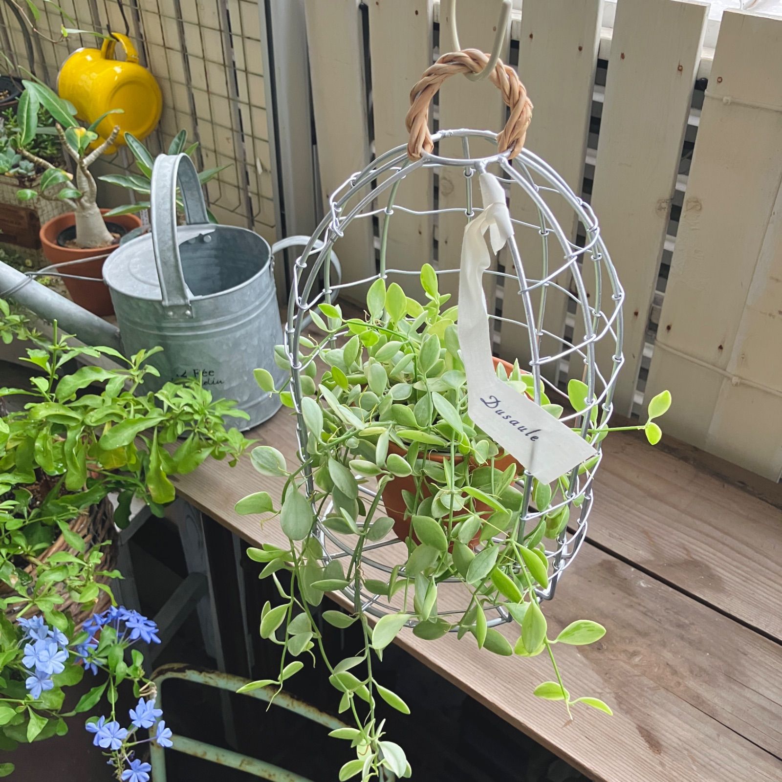 ハンドメイド　ブルー鳥　吊りプランター　ザルツブルク アイアン鳥かご ハンギングプランター インテリア雑貨