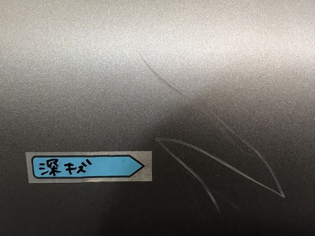 透明骨格標本 魚 8本セット 透明骨格標本 5個セット (シラエビ1個