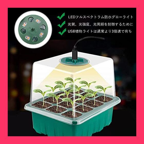 第3回】まかぬ種（タネ）は生えず ～まずはまいてみよう～｜キラリ☆差がつく 野菜と花の栽培講座｜読みもの｜サカタのタネ 家庭菜園・園芸情報サイト  園芸通信 発芽ジャー 発芽栽培ジャー 多機能種子トレイ グリーン栽培トレイ 家庭菜園用品 プレート, 紫