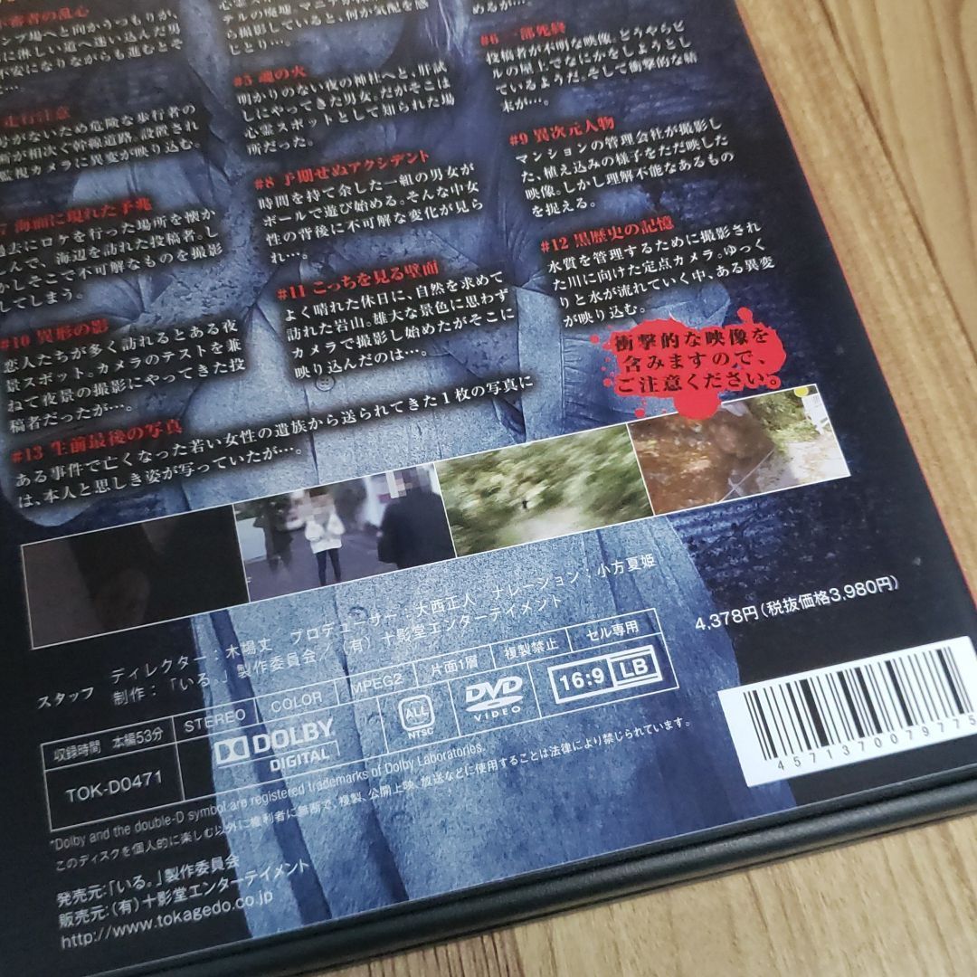Z104 新品開封「いる。」~怖すぎる投稿映像13本~Vol.41 DVD - メルカリ