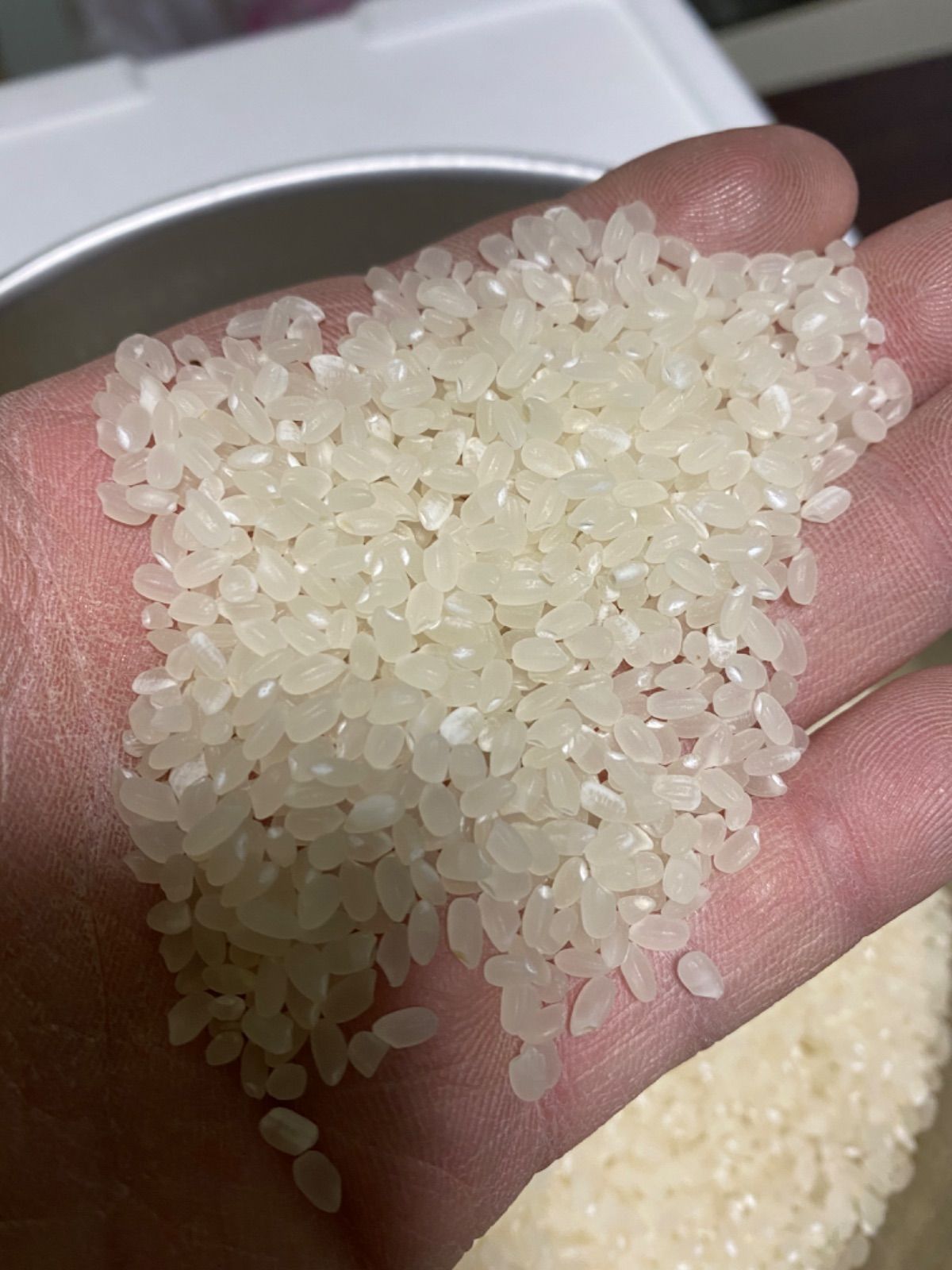 白米コシヒカリ
