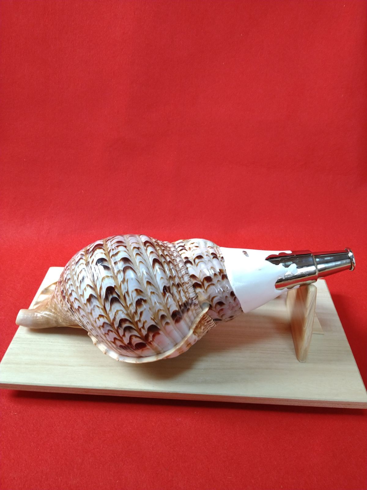 NO-28.ホラ貝、法螺貝、和楽器､和太鼓､修験道。 - メルカリ