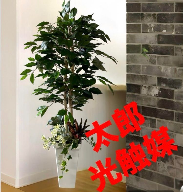 光触媒 人工観葉植物 ウォールグリーン フェイクグリーン ストレッチア160@m 薄