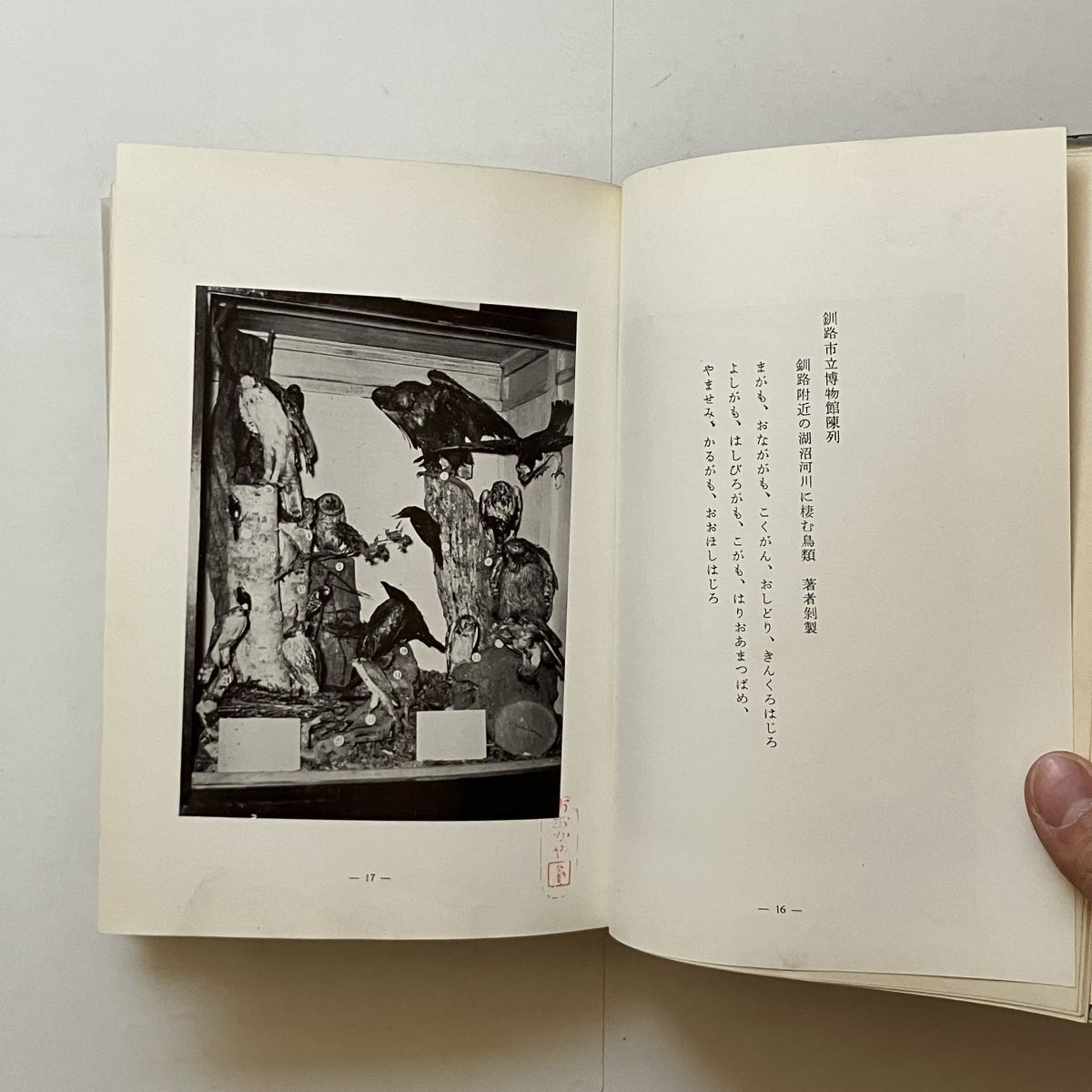 剥製の手ほどき 片岡新助 著 日本博物館協会 限定1000部 1958年 349p 