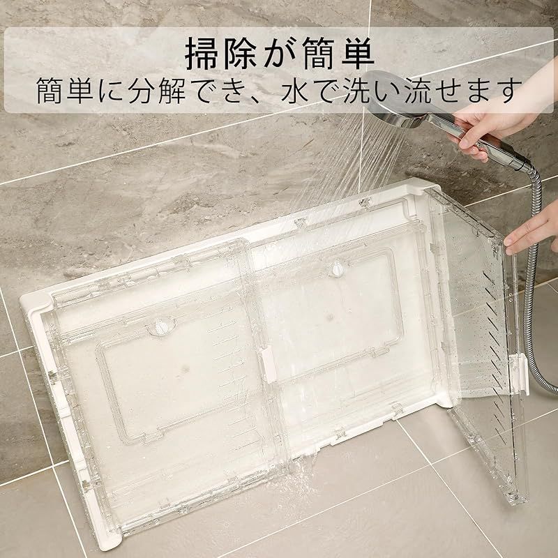 例えば ヒゲトカゲ