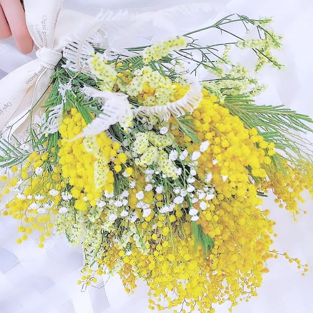 ミモザスワッグLサイズ R&Bページ ☘ミモザフレッシュスワッグ・リース