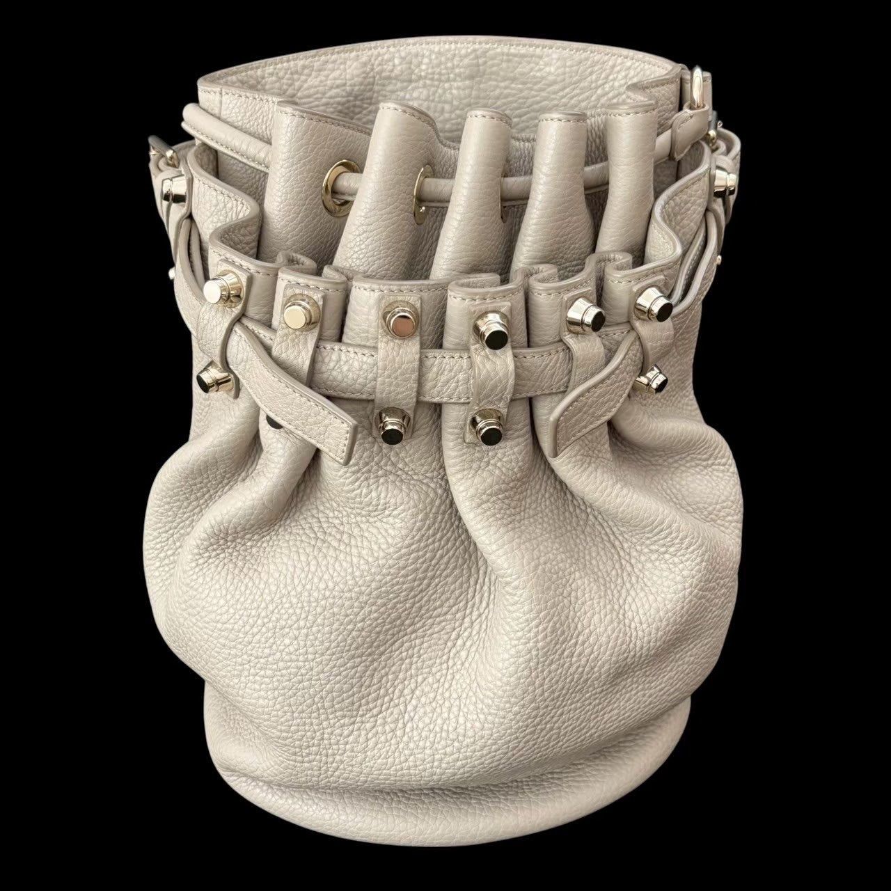 希少カラー　Alexander Wang ディエゴ 2wayショルダーバッグ alexanderwang アレキサンダーワン 2wayバック ベージュ