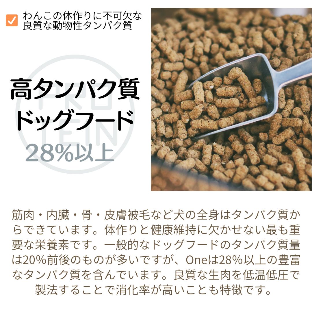 HORSE 2kg