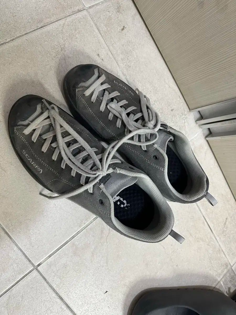 SCARPA スカルパ モヒート シャーク 270