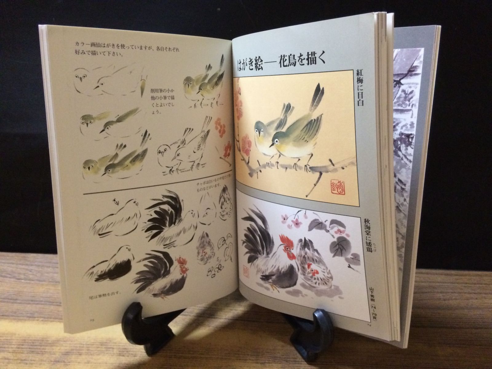 水墨画塾［特集］花鳥を描く No.10 一九九八 本 mDD220