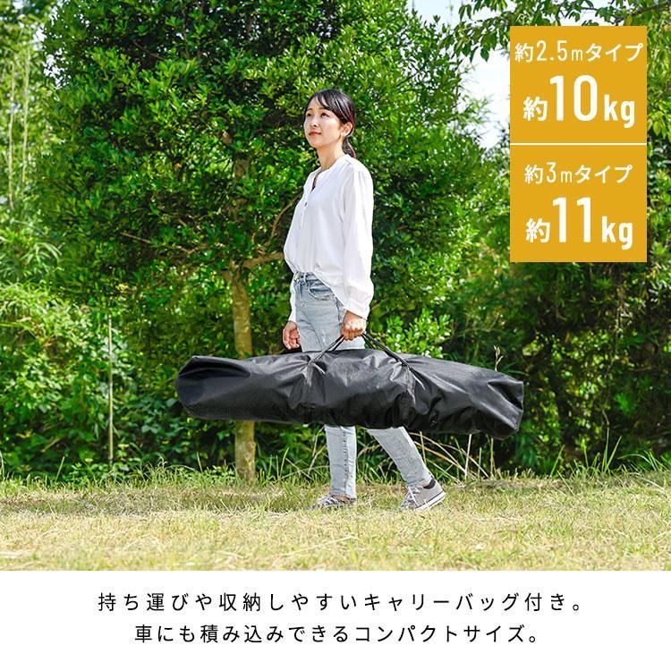 公式