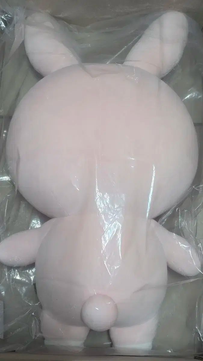 DAY6 ウォンピル WONPIL ジャイアント ウォンピル WONPIL