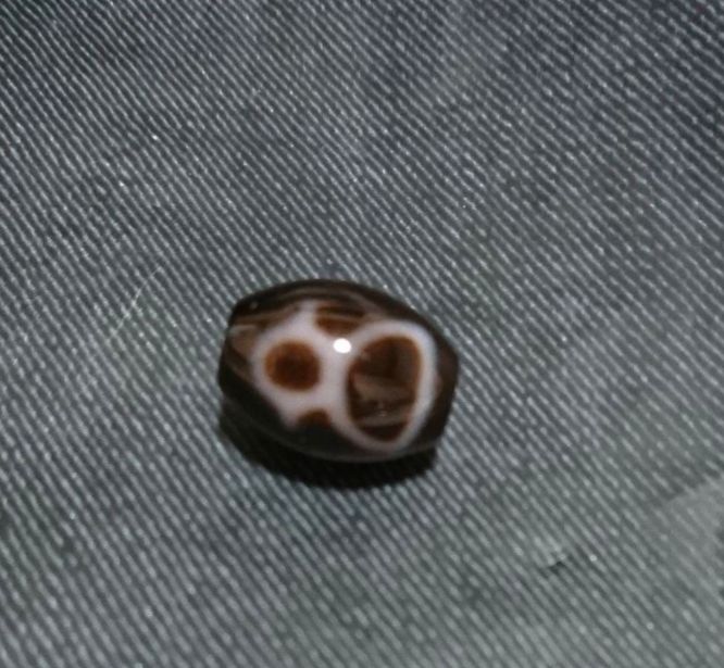 白天珠 龍神天珠 龍神三本爪天珠 白天珠 チベット至純天