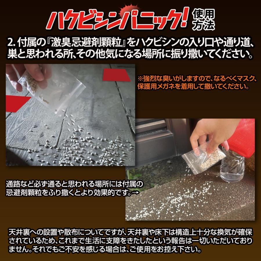 ハクビシン対策 退散