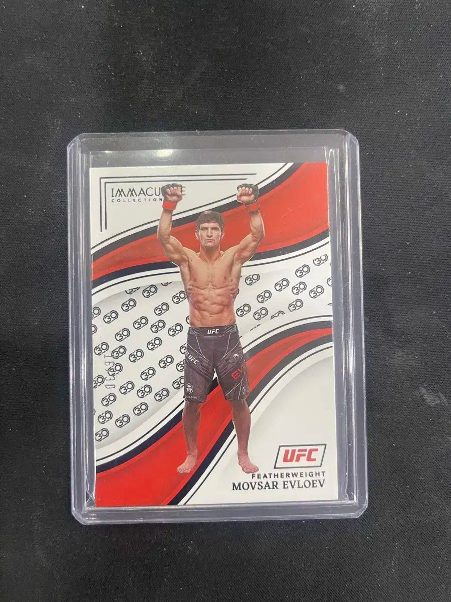 Panini パニーニ 真っ白な ムボサ エブロエフ ufc カード