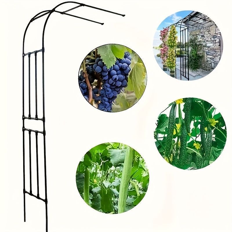 ガーデン ガーデンアーチ 1pc おしゃれ 半側 庭園 アーチ 登山植物グリッド トマト カボチャ ズッキーニ グレープ 花用 ステンレスPEコーティング 取り外し 屋外ブラケット 庭の植物サポート 装飾庭園構造 耐久性のある庭の装飾品 庭の装飾 ブラック WWW_GEBZETESISAT_COM_TR