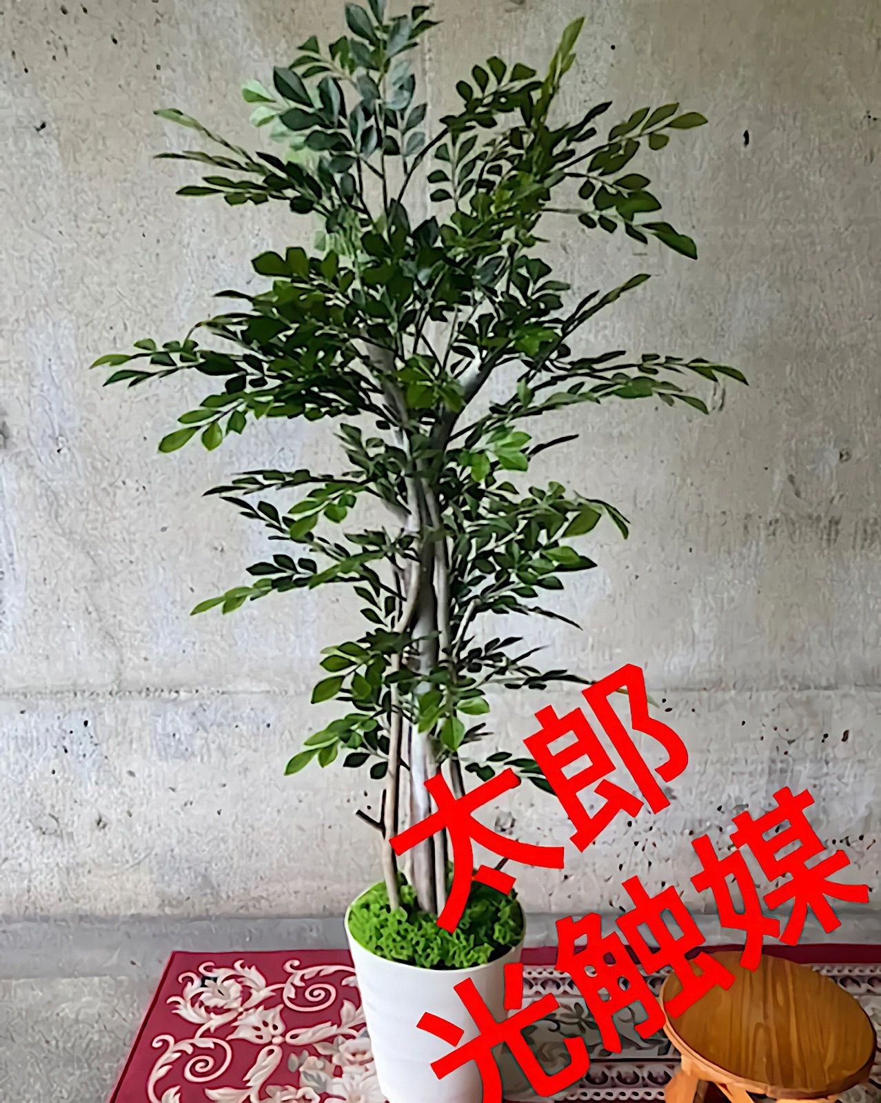 光触媒 人工観葉植物 ウォールグリーン 造花 ベンジャミン125 - 観葉植物