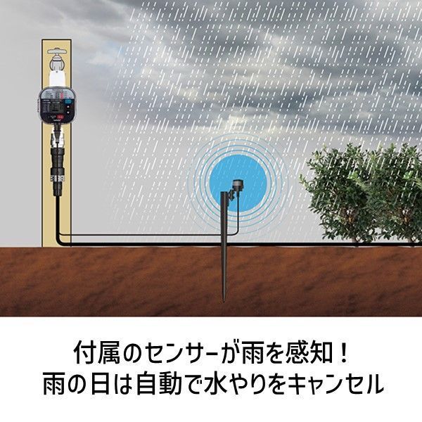 ３営業日以内発送