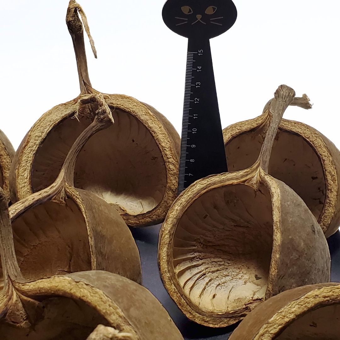 ウェディング 贈り物