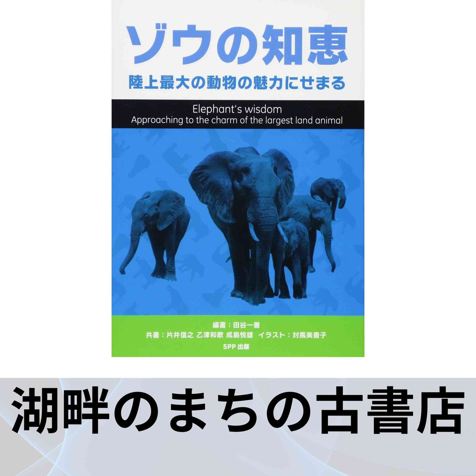ゾウの知恵 陸上最大の動物の魅力にせまる 単行本 ソフトカバー 田谷 一善? 片井 信之? 乙津 和歌? 成島 悦雄 対馬美香子