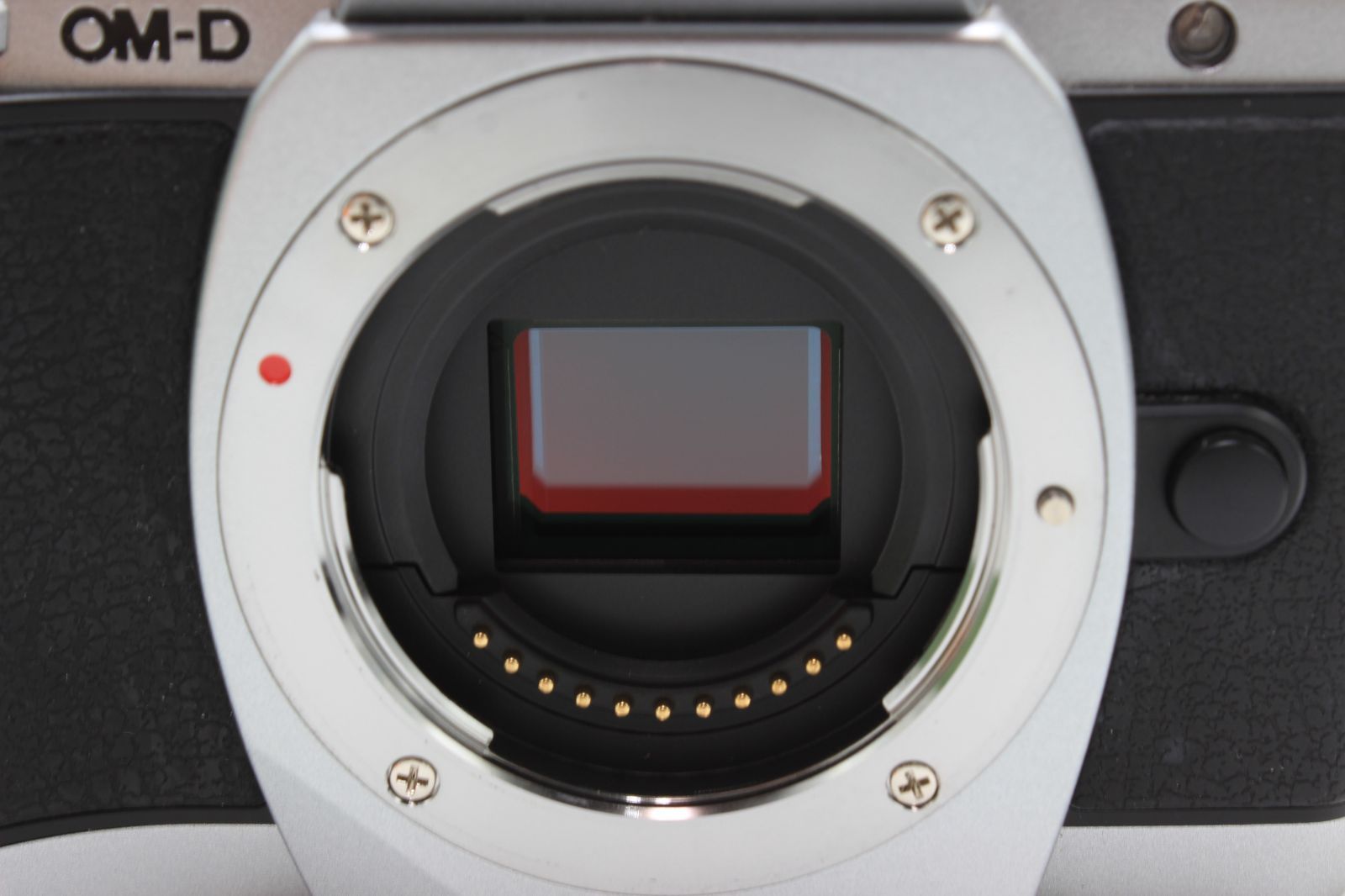 E-M10