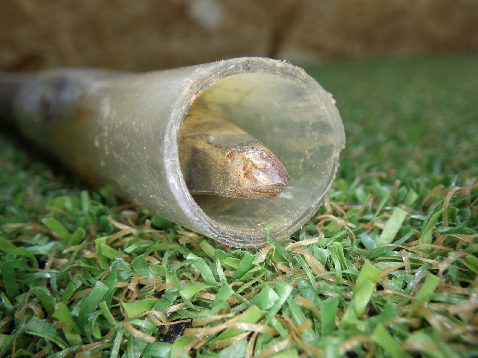 手打ち山芋堀り