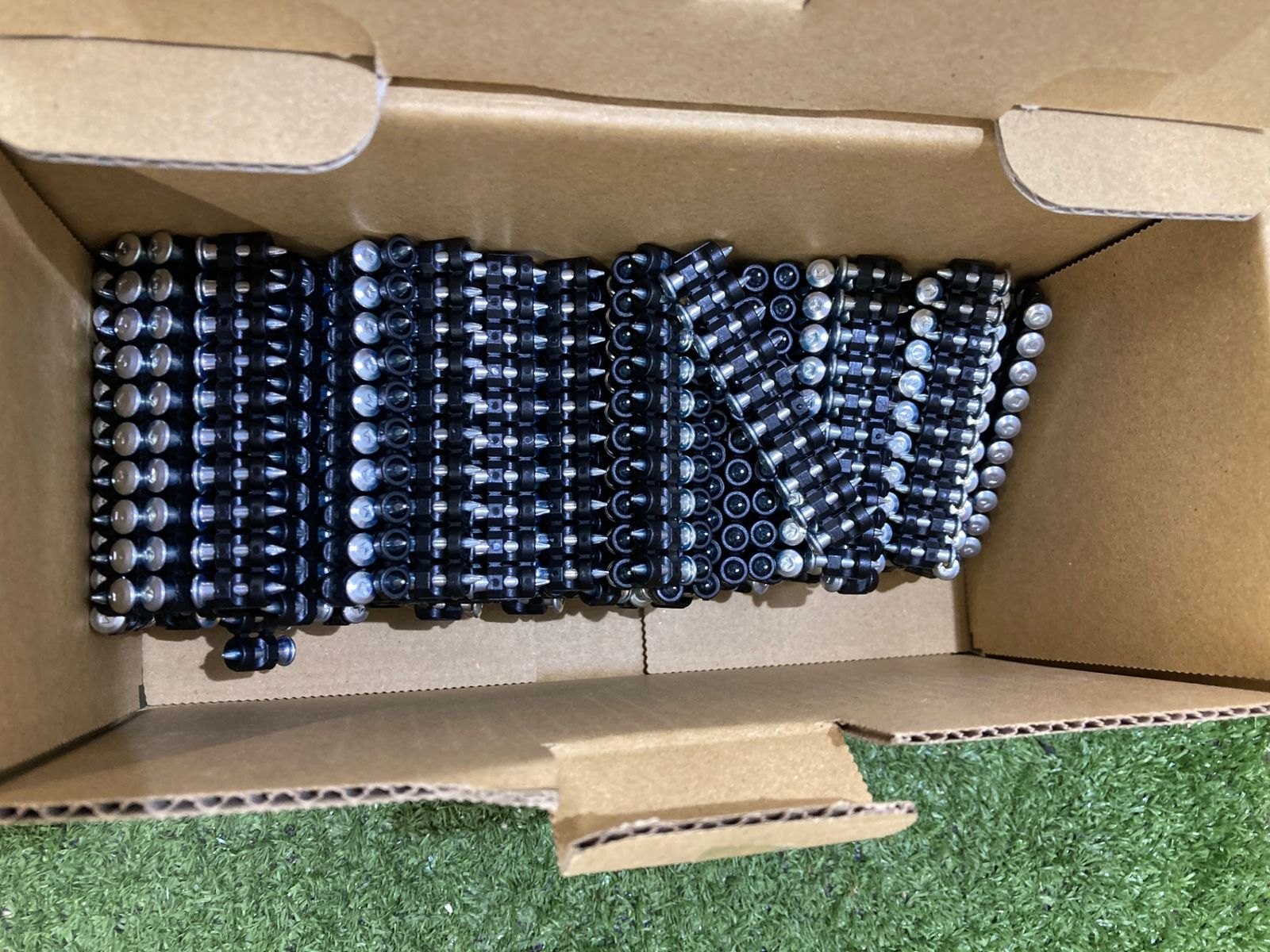 STOP LIGHT ストップライト（ 金目のみ） ストップライト 金目