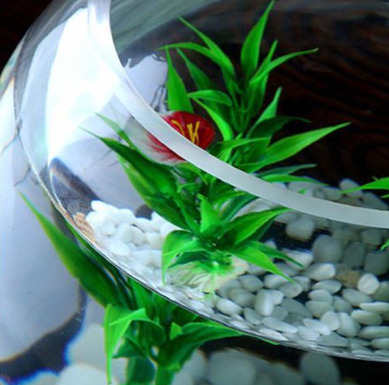 金魚鉢 ガラス テラリウム アクアリウム 花瓶 水槽 容器 ボウル ミニ