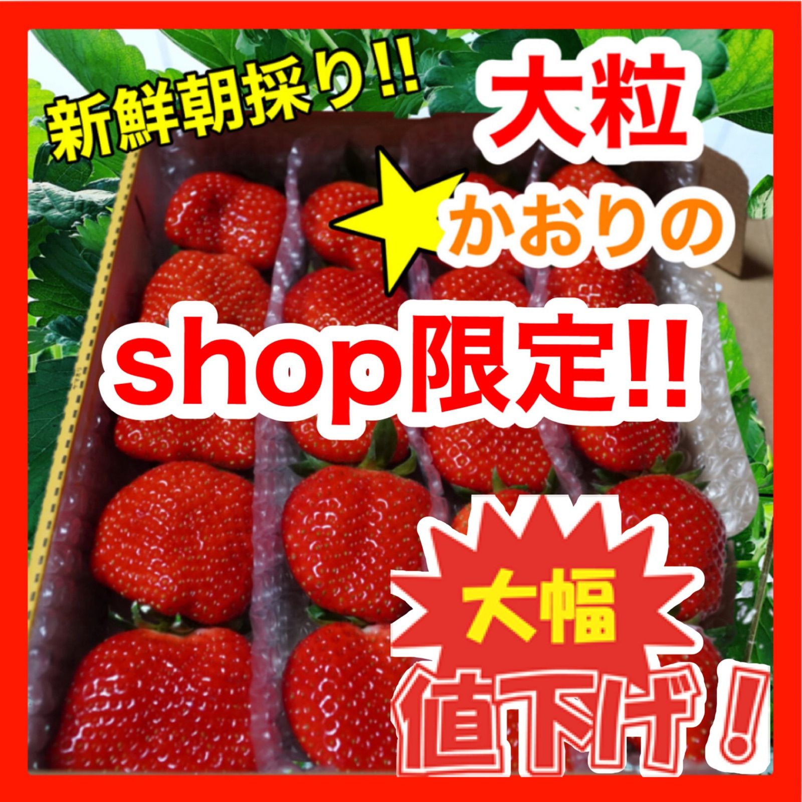 値下げ」新鮮朝採り‼️かんちゃん農園の甘いいちご - 果物