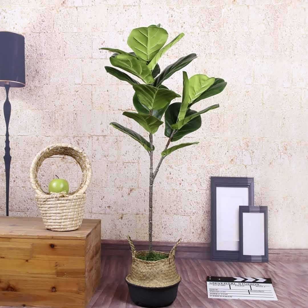 花壇