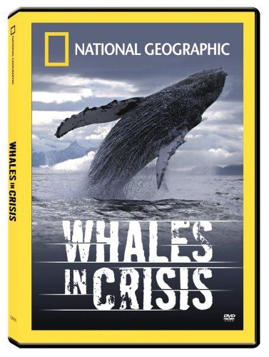 Whales in Crisis [DVD](品)