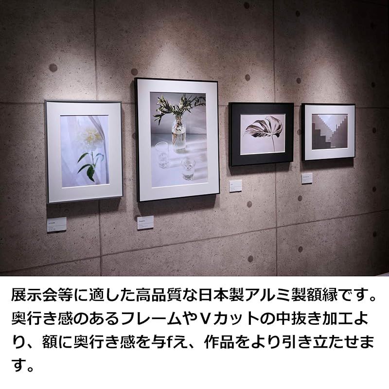 ハクバ HAKUBA 額縁 アルミ HFA-03 全紙 アクリル板 ブラック HFA-03-Z WWW_NOITHATQUANGTHANH_NET