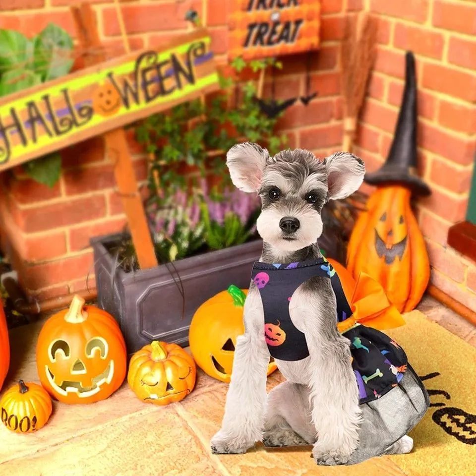 ハロウィン ペット 洋服 Sサイズ かぼちゃ 可愛い 犬 猫 イベント